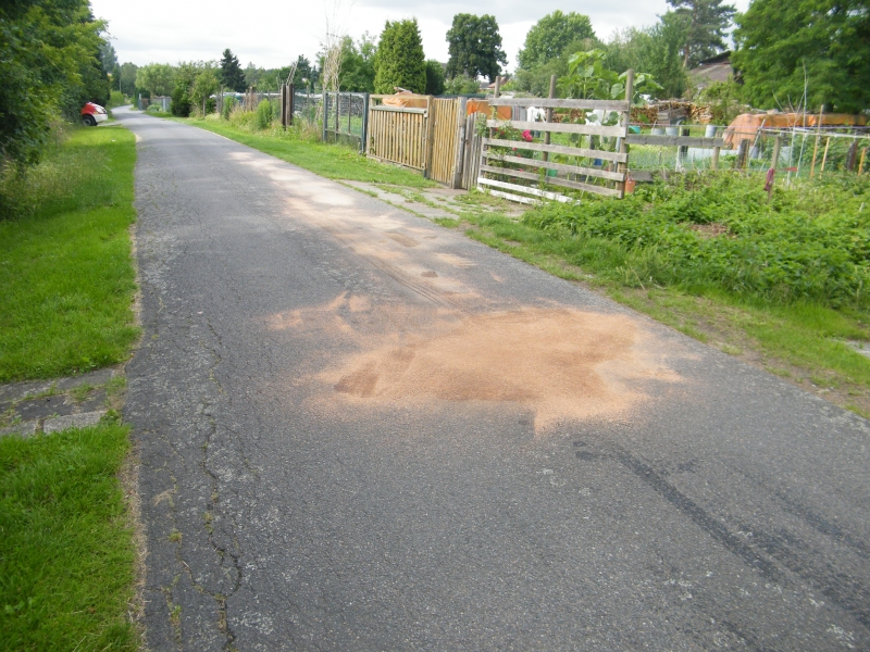 Ölspur in der Obergärtenstraße