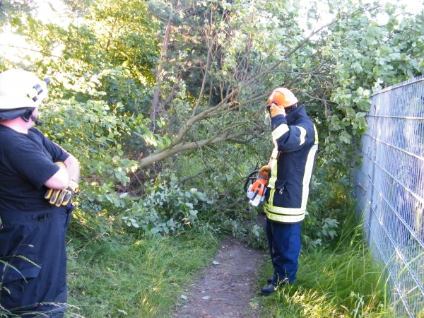 Umgestürzter Baum auf Fahrradweg