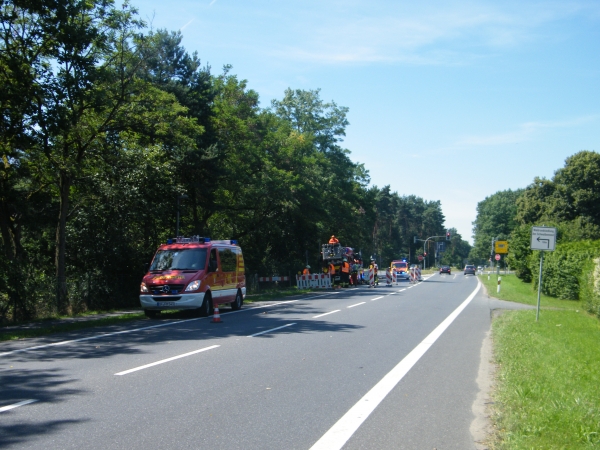 Droht Baum zu stürzen