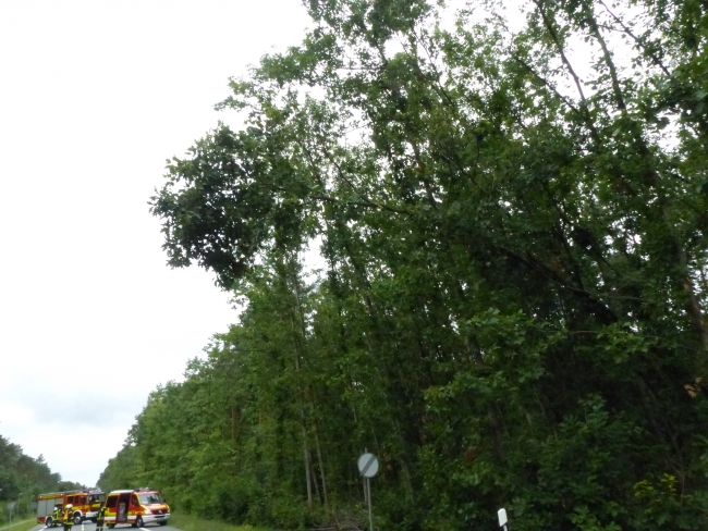 Droht Baum auf Fahrbahn zu stürzen